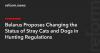 Belarus Proposes Changing the Status of Stray Cats and Dogs in Hunting Regulations