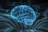 Scientists Translated Brain Signals Into Movies With Surprising Accuracy
