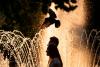 France records around 1,000 additional deaths as extreme heat sets European records