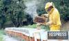 Moroccan beekeepers prepare to move hives to summer pastures as temperatures climb