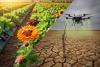 Senate GOP Farm Bill Draws Criticism From Advocates Over Environmental and Health Provisions