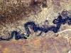 Blue gold: the geopolitics of water in Central Asia