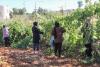 Paradise lost: How Israel is making war on West Bank farmers