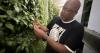 New Seattle farm teaches kids how to grow acres of food in the city
