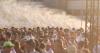 France reports 1,000 additional deaths during heatwave