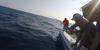 New red drum rules take effect July 1 in South Carolina