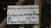The Extinction of Languages Is an Environmental Issue
