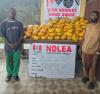 NDLEA Nabs China-Bound Businesswoman, 2 Benin Nationals in Nationwide Crackdown