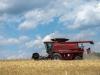 Celebrate Farming, Fireworks and Everyday Freedoms