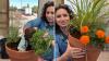 Gardening expert's patio pot pairs lavender, lemongrass, and marigolds to repel mosquitoes