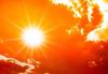 Vets issued urgent heatstroke warning for Newbury cats