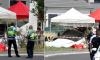 Eleven dead after plane carrying skydivers crashes in France during take-off: Nurses participating in 'introductory sky jump' among victims