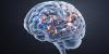 Study links autistic traits to how the brain processes social versus nonsocial rewards