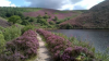 Boy, 15, becomes latest UK drowning death as toll hits seven during heatwave