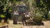 US farmer sued over pay gap between Black workers and white South Africans