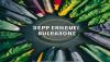 The Top 5 Unexpected Benefits of Early Childhood Education