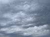Environment Canada warning says Calgary to expect 100 mm of rainfall