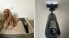 I tested a sub-£200 vacuum cleaner built for pet parents – this is how Hoover’s newest model fared in a real home covered in pet hair
