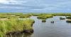 Maryland awards $4.5 million for Eastern Shore Living Shoreline projects