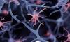 Canadian biotech firm launches clinical trials for a cancer vaccine