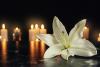 Deaths in Donegal, Monday morning, June 29