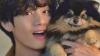 Get to know the extra members of BTS: All their adorable dogs