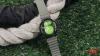 I didn't expect to enjoy gaming on my smartwatch, but these 5 games changed that