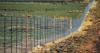 Billionaire ranch owner’s fence is harming wildlife in a southern Colorado valley, experts find