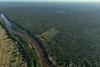 A conflict over cattle in Brazil’s Amazon highlights tensions for Indigenous peoples
