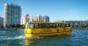 Free water taxis in Miami Beach: the city is getting ready for thousands of fans for the World Cup final