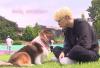 Here are some adorable photos of BTS with dogs – for research