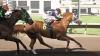 See which quarter horses qualified for the Rainbow Derby in New Mexico