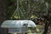U.S., Mexico open sterile fly plant to fight screwworm threat