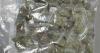 Cops doing door-to-door enquiries discover £170k cannabis haul in Paisley flat