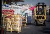 Jerusalem’s surplus produce goes to waste. An upstart NGO seeks to fix the system