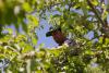 Vermont Is First State to Ban Paraquat Weed Killer Linked to Parkinson’s Disease