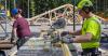 Consumers and companies more upbeat about Finland's economy