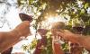 The British vineyards giving Europe a run for its money - how visiting a winery became this summer's must-do trip