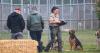 No One Is Checking: Inside California’s Unregulated Animal Rescue System