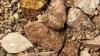 Amaroq starts drilling for rare earths in Greenland's Gardar Alkaline province