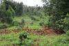 Universities Join Hands to  Enhance Agroforestry Research for Mitigating Climate Change