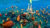 Snorkeling in Iceland: All you need to know