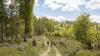 With painted churches, forests and bears, Romania’s new hiking trail is heavenly