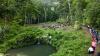Hawaiian Ahupua’a Food System Restoration Revives Ancient Terraces Feeding Communities Through Indigenous Water Management