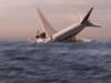 Last-ditch search for missing MH370 flight will continue for another YEAR after jet vanished with a trace 12 years ago