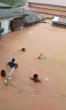 Accra’s perennial flooding: civic discipline, law enforcement needed