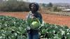 Simangele turns school lease into retail-supplying agribusiness