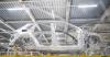 FAZ: Porsche weighs moving Cayenne production from Slovakia to Germany