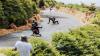 World Downhill Skateboarding Championship visits island this weekend