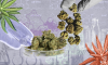What’s in My Weed?